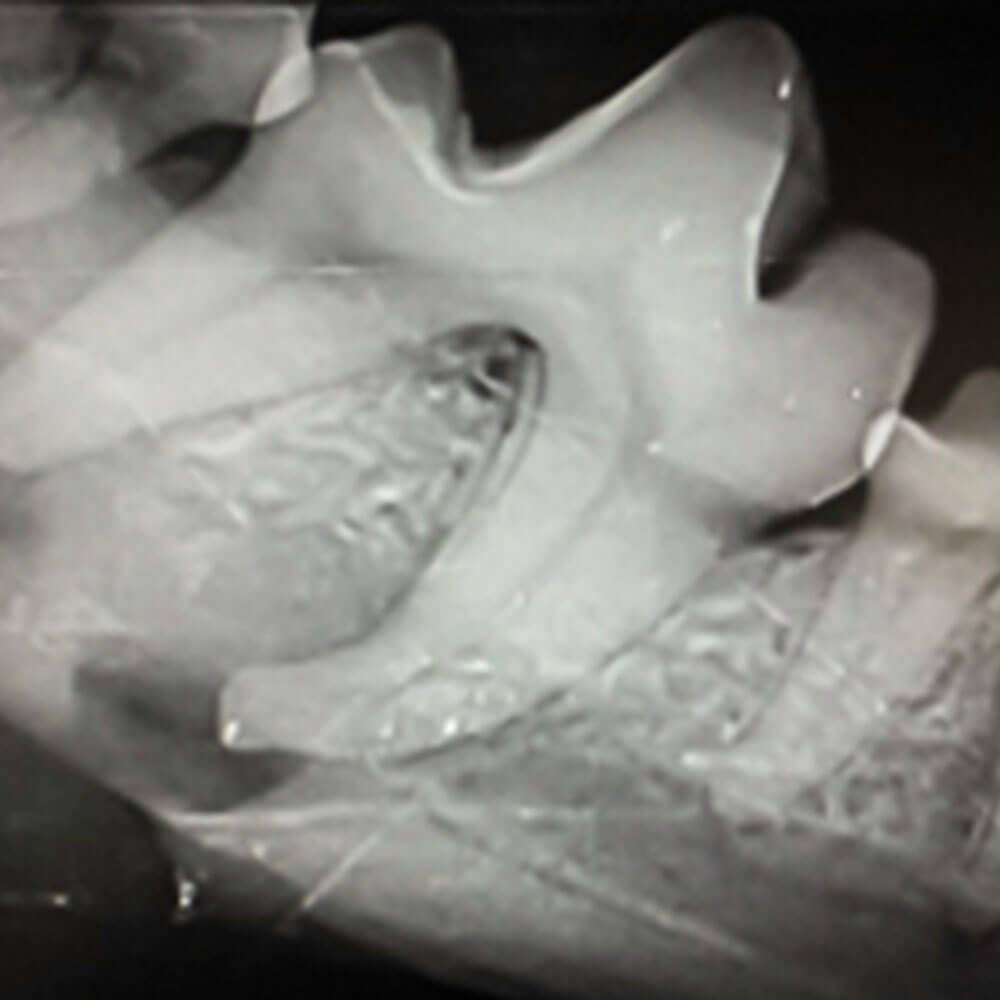 Dentistry