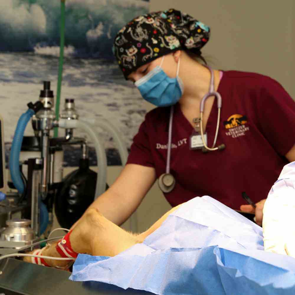 Surgery