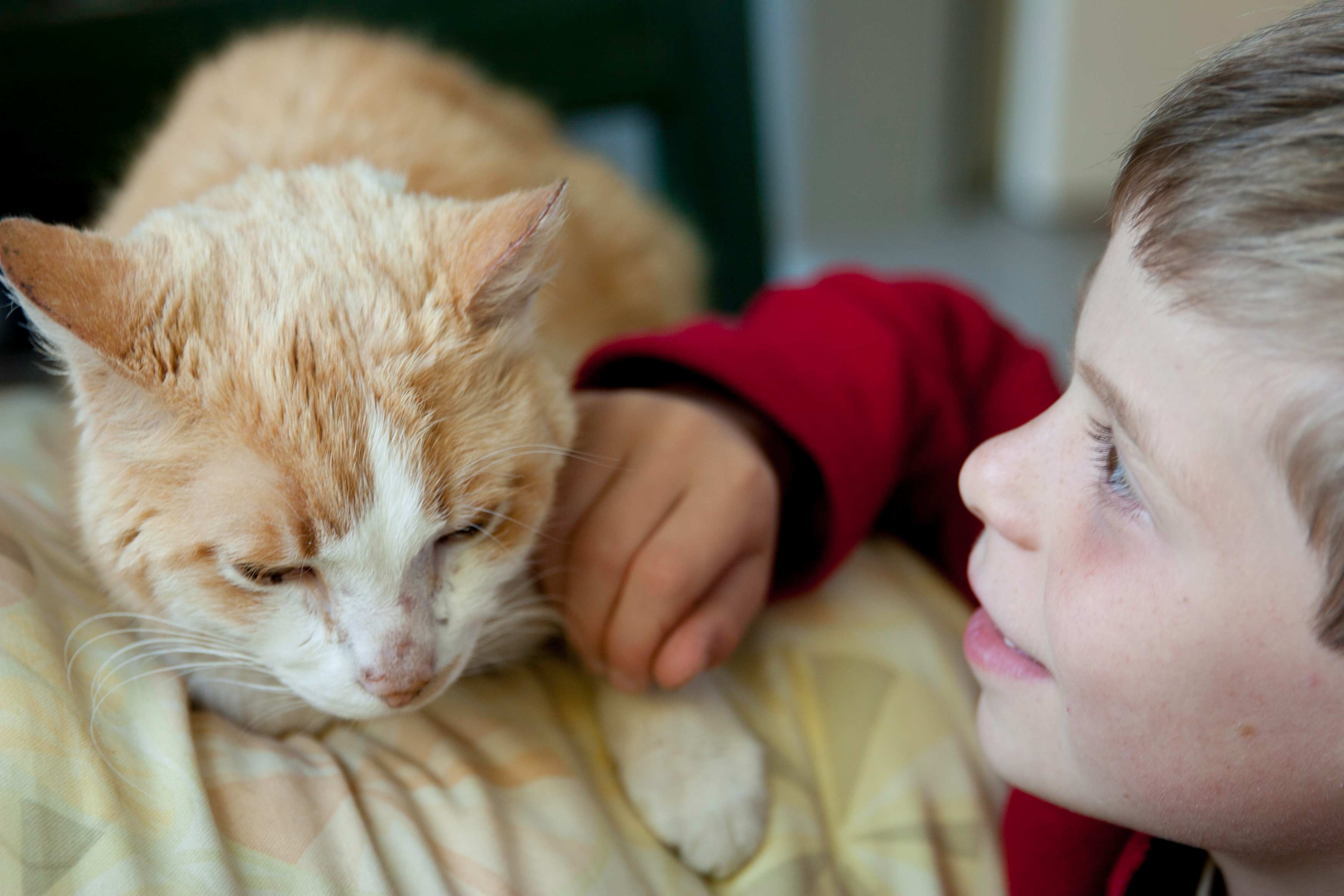 Child with cat