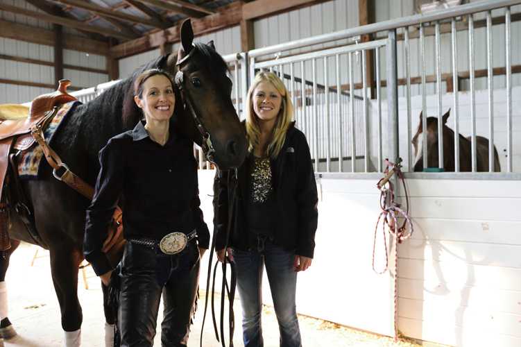 Veterinarians with horses