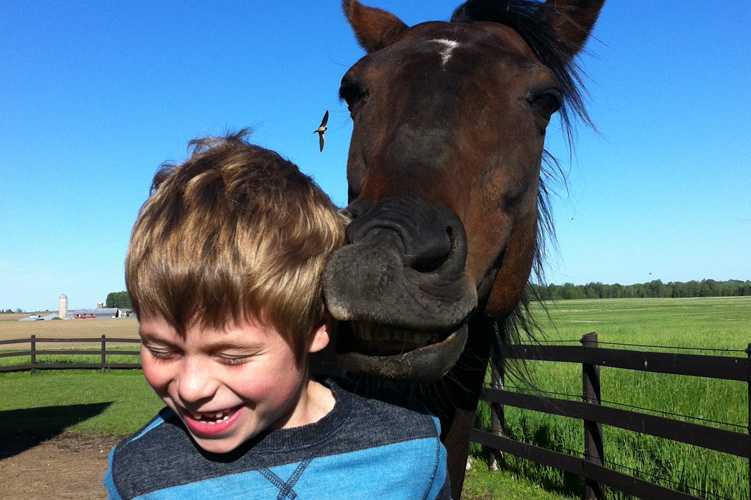 Child with horse