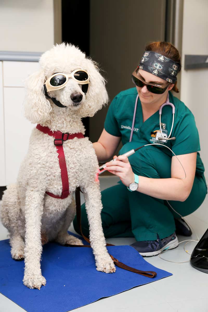Laser Therapy