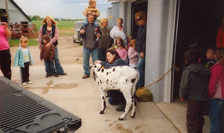 Veterinary Wellness