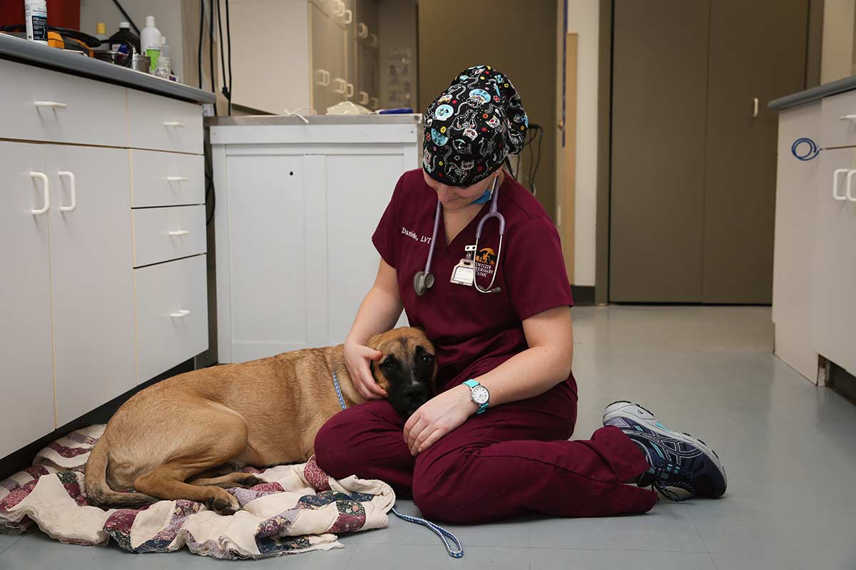One of our staff comforting a patient