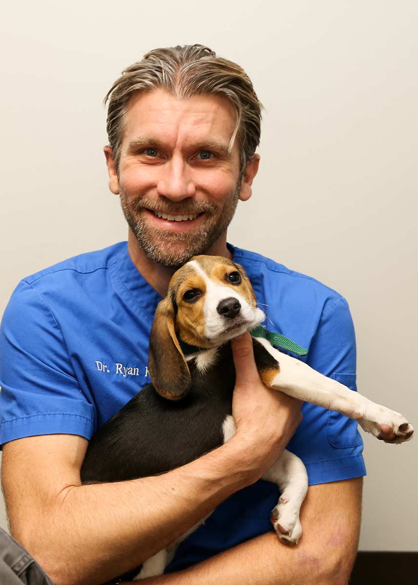 Our Veterinarians